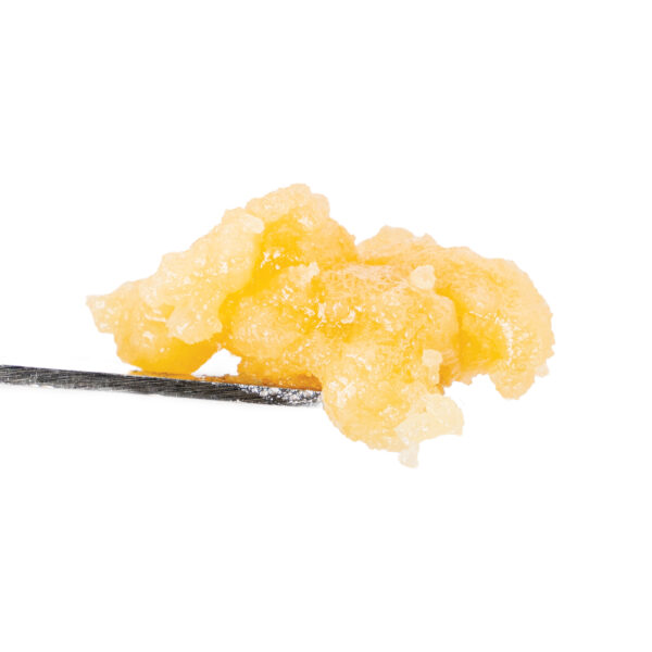 BHO - Image 25