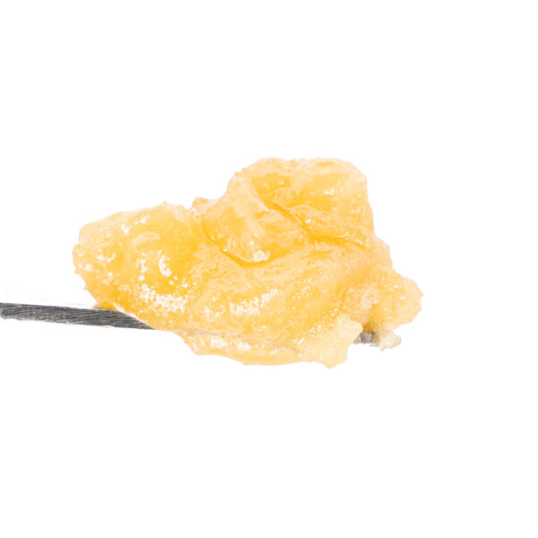 BHO - Image 23